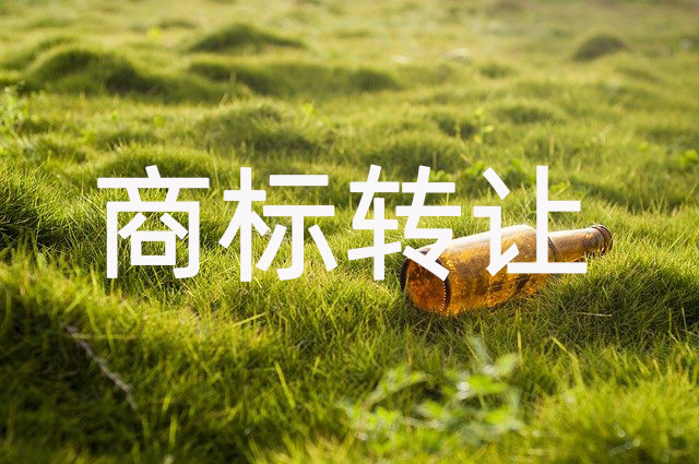 商标注册成功率查询与评估实用技巧