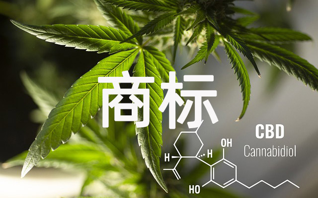 同音不同字的商标能注册吗？一文读懂